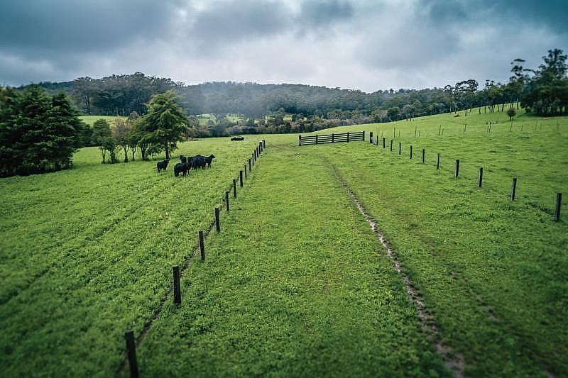Des entreprises australiennes souhaitent investir dans l agritech au Vietnam